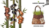 Lucky_1