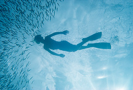 4908_20__snorkeling_with_the_fish