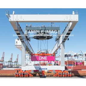 One_crane_sample_image