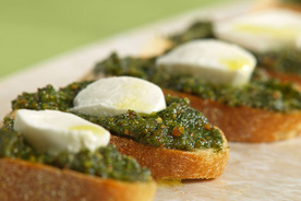 Pestocrostini_p4073304