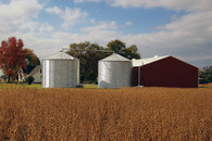 Farm1_in_0982_2x2