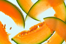 Cantaloupe_04_kiyoshi_togashi