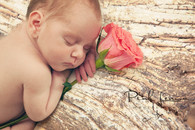 Richardandmeredithallen_0112